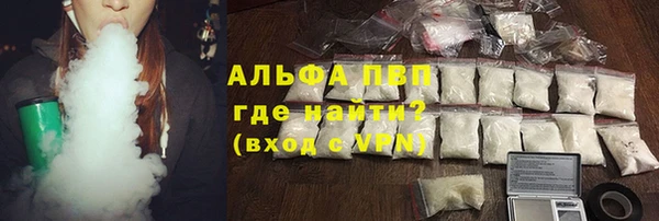 сатива Гусев