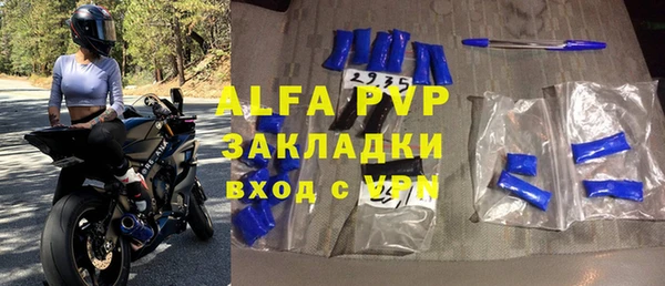 сатива Гусев