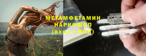 сатива Гусев