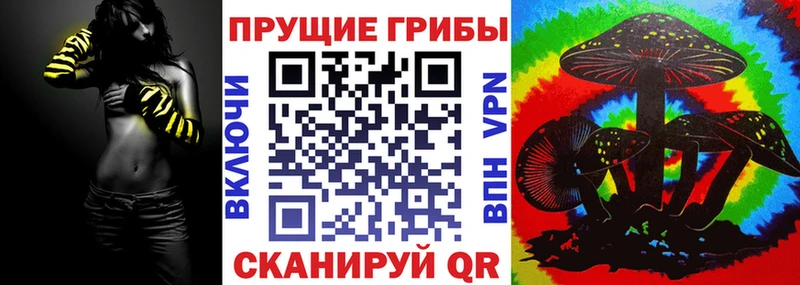 Купить где  Калач-на-Дону  Псилоцибиновые грибы Magic Shrooms 